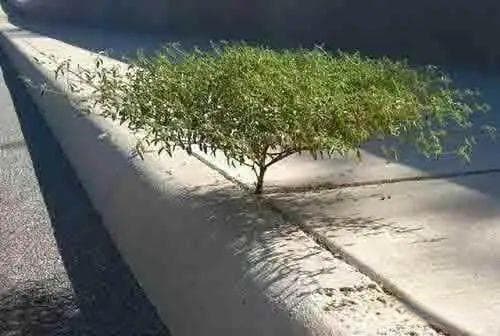 艾滋病治疗：药物更换的奥秘与考量