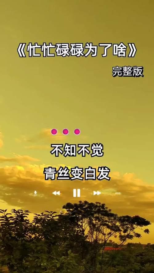 抖音热门歌曲深度解析：《反正呢》——探索不快乐背后的自我释怀