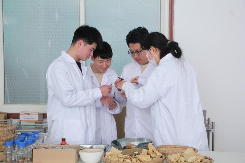 药学专业详解：从培养目标到就业方向