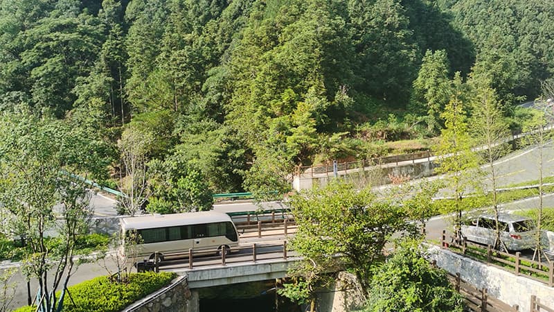 池州石台：大山村的新“出路”
