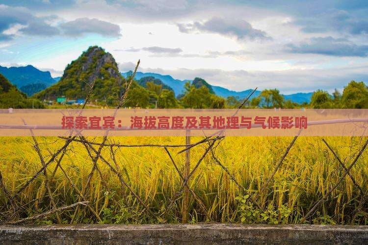探索宜宾：海拔高度及其地理与气候影响