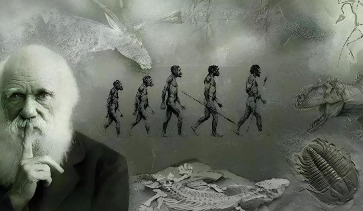 人类的起源，始于4亿年前的一条鱼？持续几十年的进化骗局被拆穿