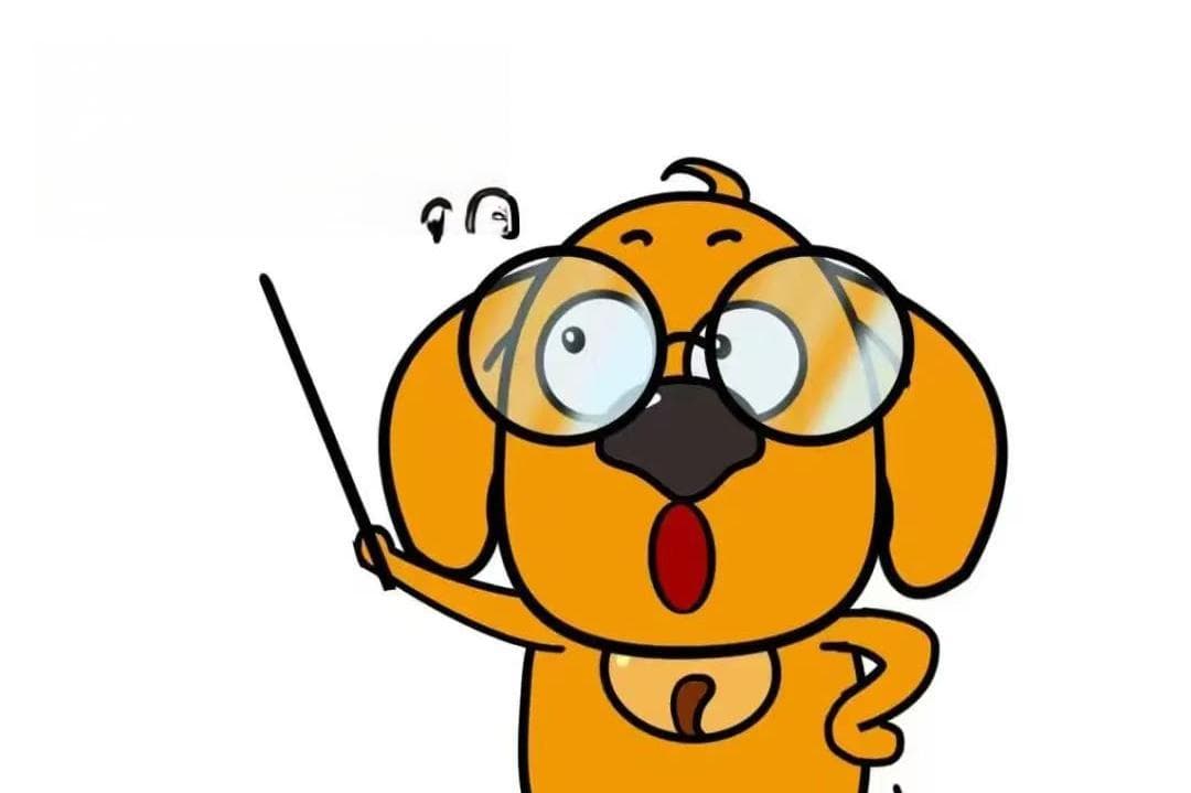 狂犬病可防不可治，您了解吗？