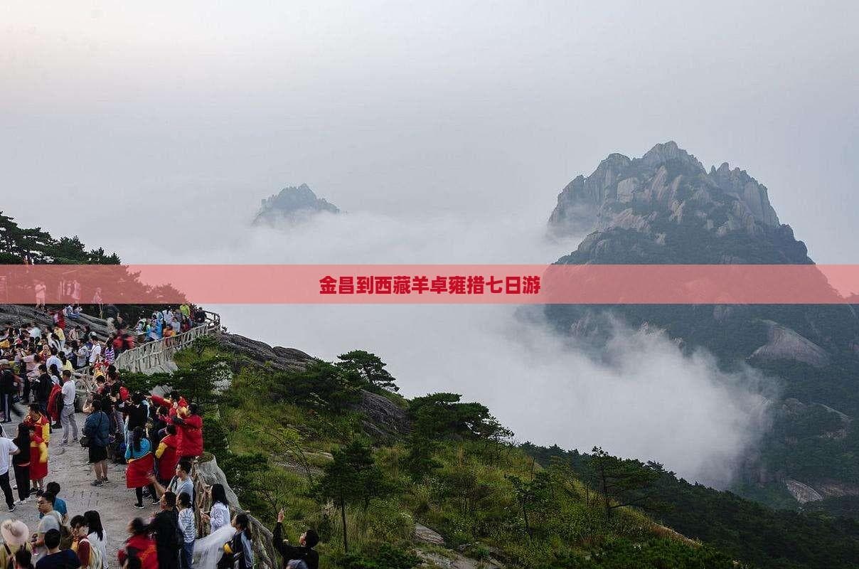 金昌至西藏七日游全攻略：布达拉宫、羊卓雍措深度游