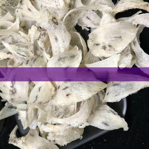 详尽教程：燕窝炖鸡汤全步骤解析与相关问题解答