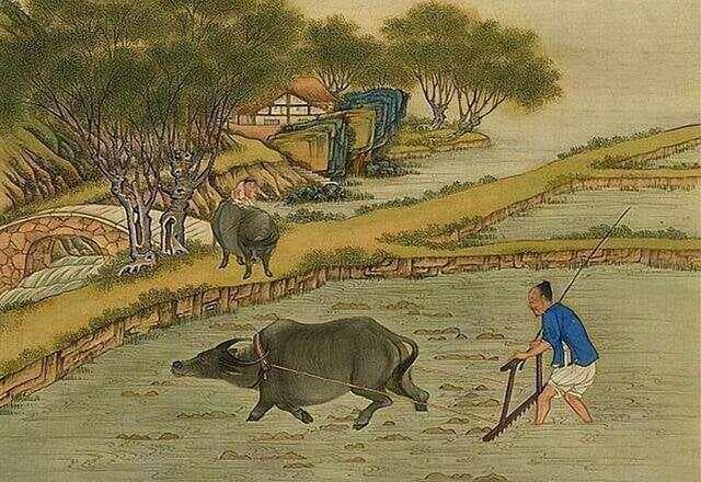 古代中国的经济基础——小农经济