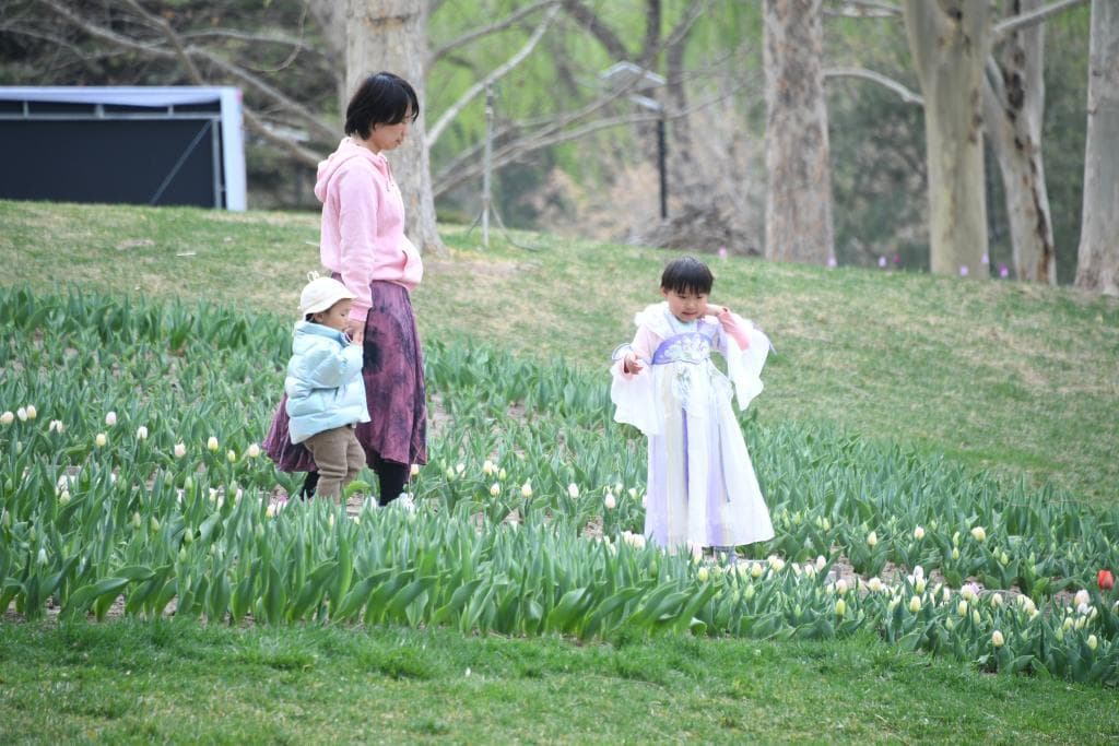 春天里的中国：花海茶香伴古风，春游新景象