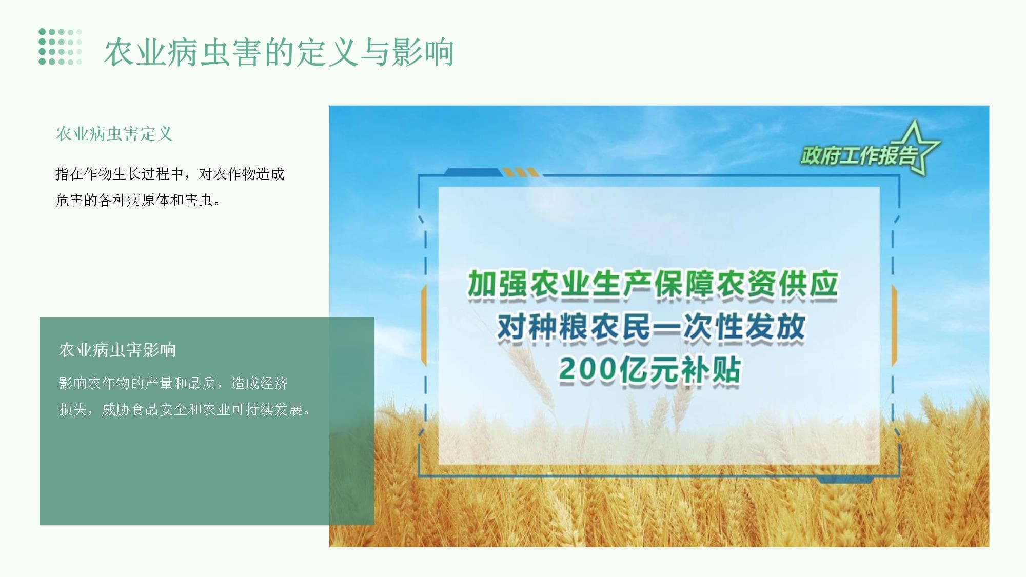 农业病虫害综合管理的国际经验与启示