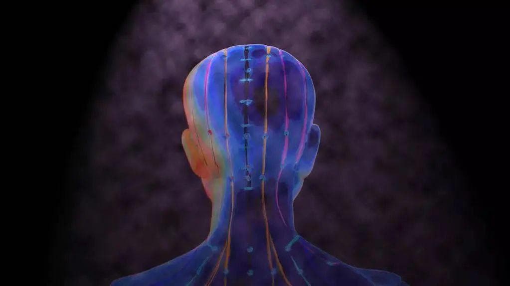 最强“免疫力开关”竟是睡眠！这9类人睡好可治病