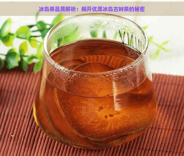 冰岛茶品质解析：揭开优质冰岛古树茶的秘密