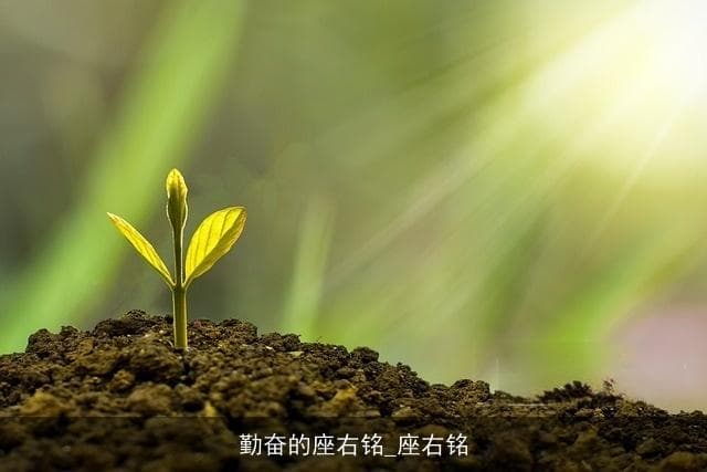 勤奋的座右铭：探索成功之路的指引之光