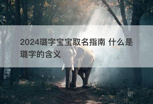 2024年宝宝取名指南：详解“璐”字的含义与应用