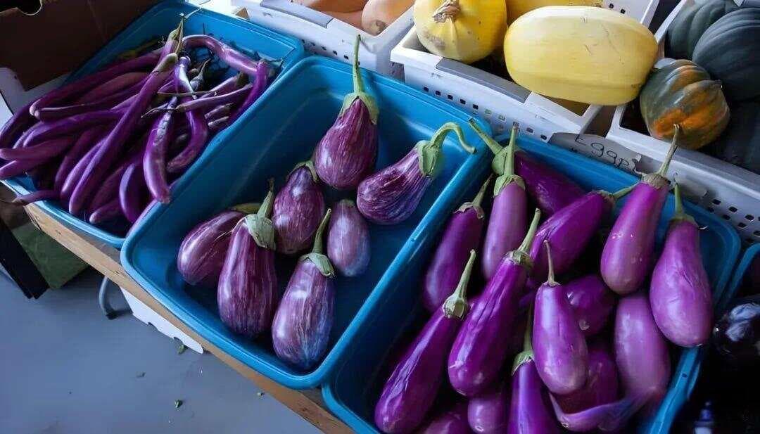 饮食指南：茄科蔬菜对您有害吗？