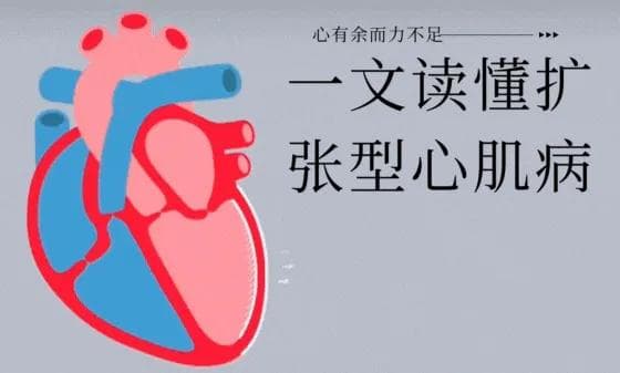 心有余而力不足——一文读懂扩张型心肌病