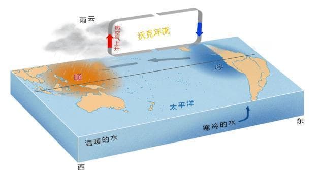 【气象地理】厄尔尼诺与拉尼娜现象！高中地理中的八种“锋面”