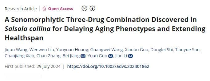 华东理工大学研究：猪毛菜提取物可显著延缓衰老并延长寿命