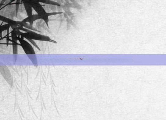 揭秘植物过冬的奇妙奥秘，生存智慧大揭秘