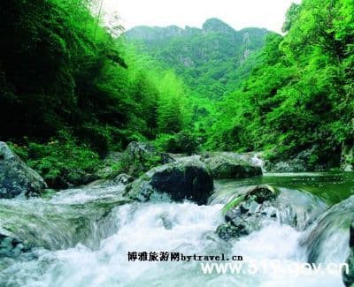 东海云顶旅游区：四季变换的仙境 🌄