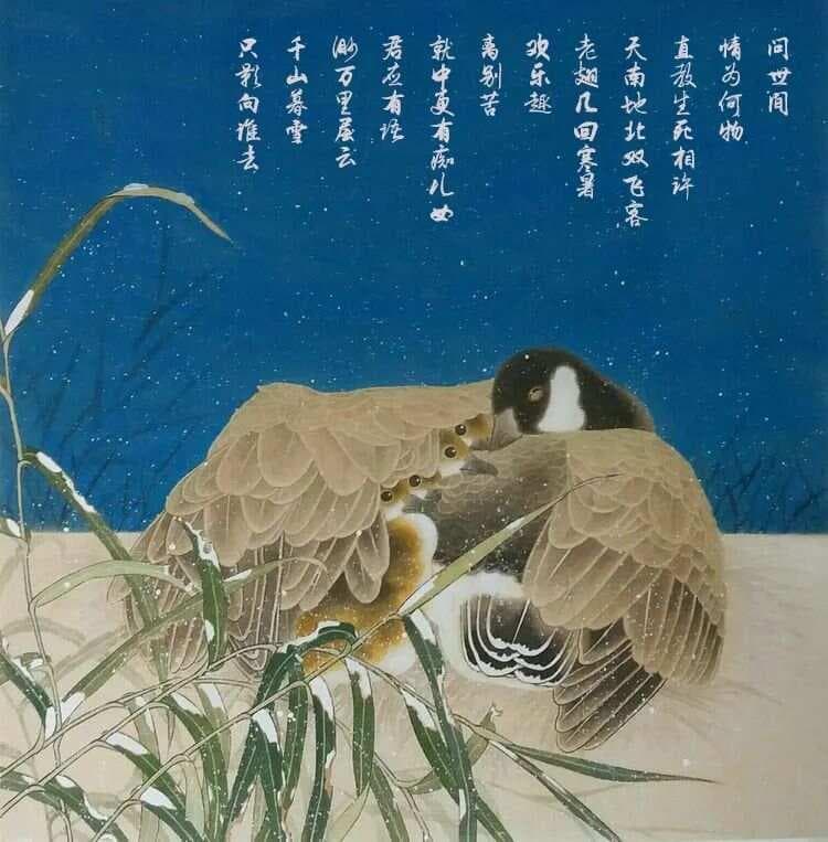 金·元好问《摸鱼儿·雁丘词》赏析及备考集锦