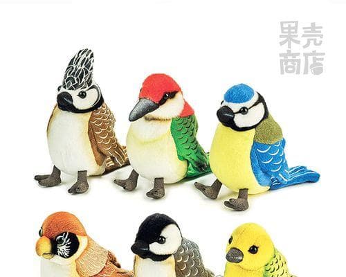 煤山雀的全面饲养指南：从选购到繁殖，掌握这些关键点让你的煤山雀健康成长