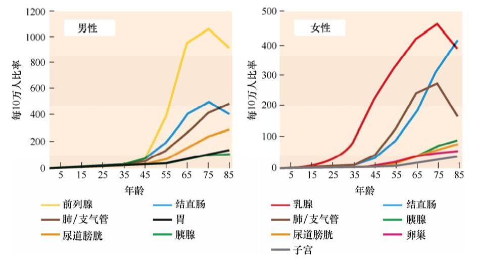 肿瘤的形成与发展：从遗传学到进化论的多维度解析