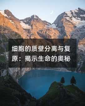 细胞的质壁分离与复原：揭示生命的奥秘