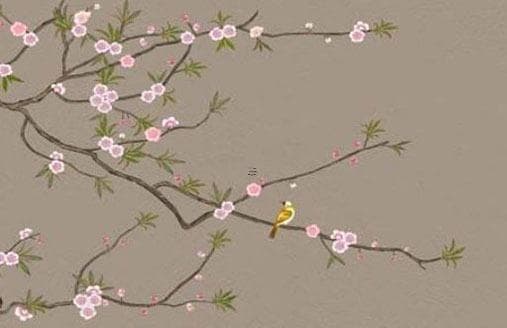 新手如何养小草龟 养龟需要选择什么样的缸