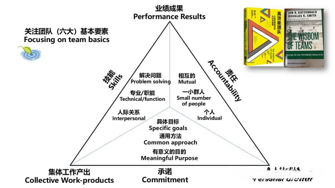 何谓团队：团队的定义与六大基本要素