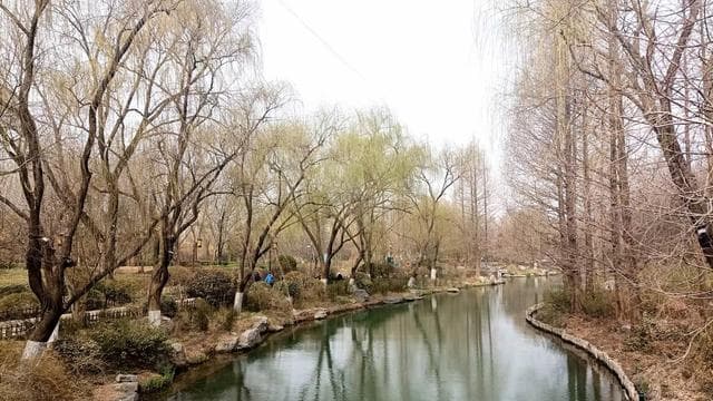 五大发电集团薪资待遇大揭秘：最高可达25万元