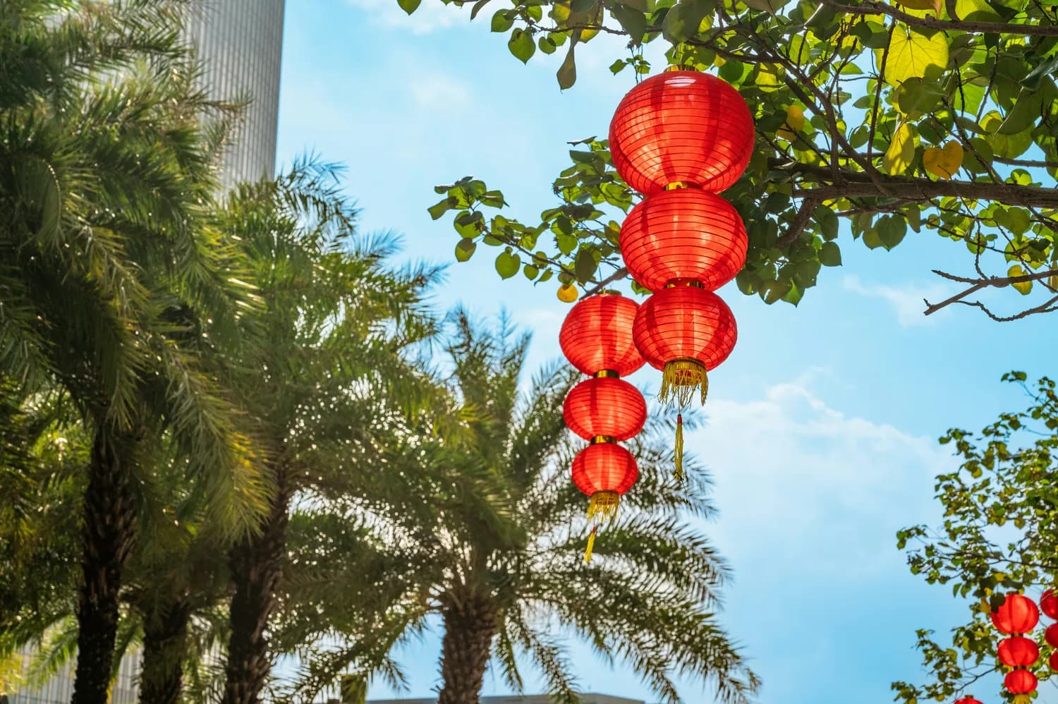 春节去三亚度假，机票酒店抢疯了！