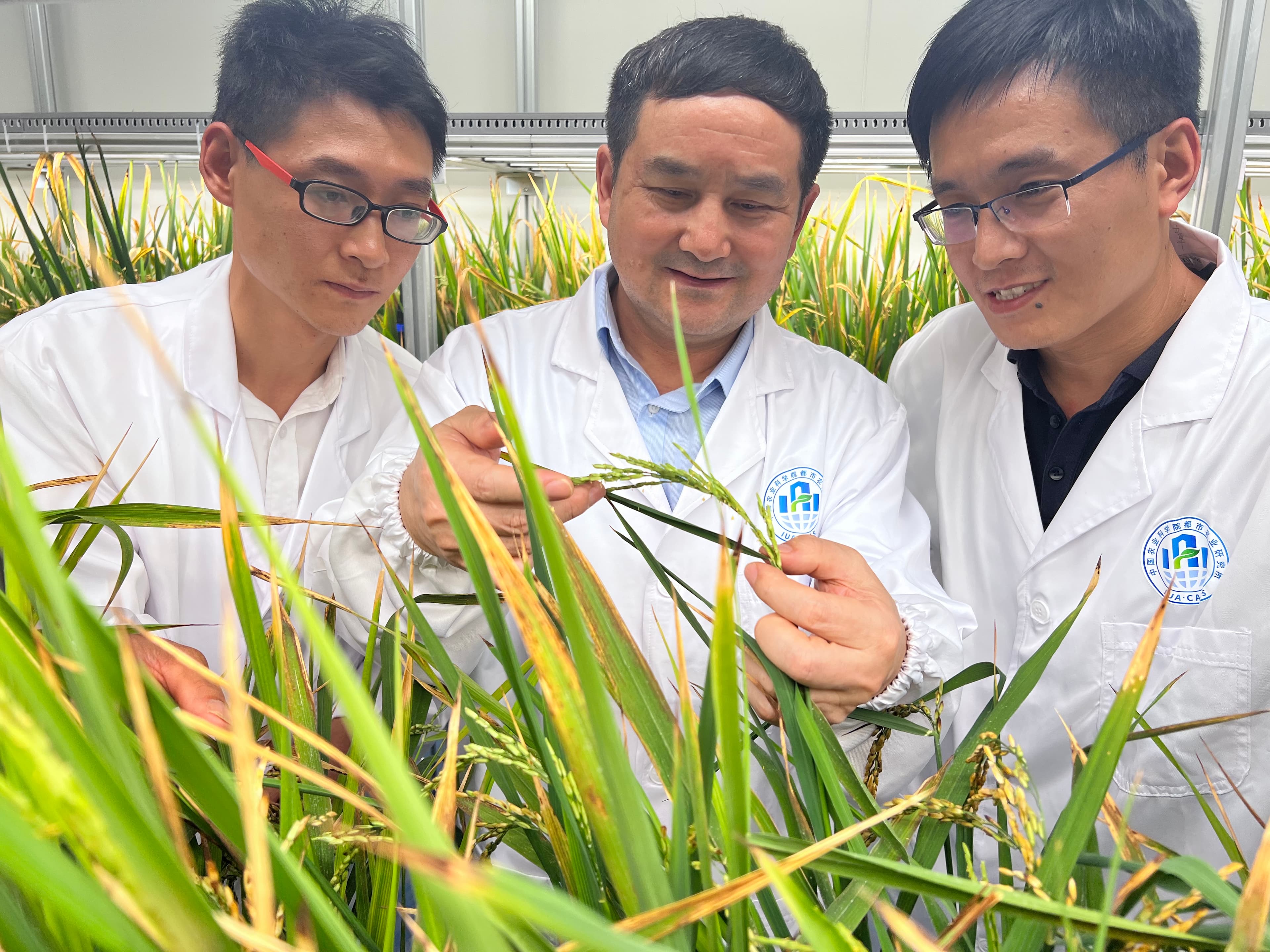 无人植物工厂——能否从科幻走向现实？