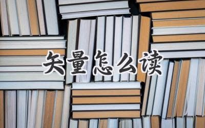 图形世界里的"箭头"：解读矢量的秘密