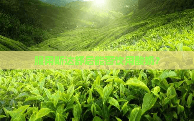 服用斯达舒后能否饮用酸奶？