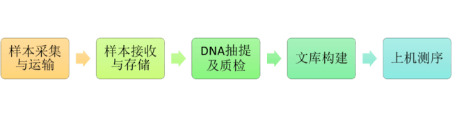 临床NGS全流程共识：样品处理和实验室检测规范