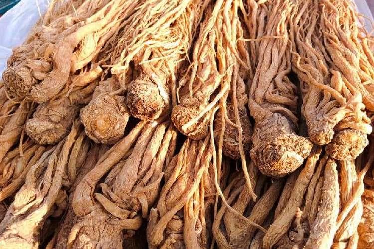 空气能中药材烘干机设备，适用于植物、动物和矿物等天然材料干燥