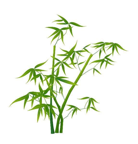 天花板级别的八字短句，值得收藏