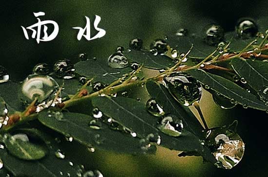 雨水节气：风俗、诗词与垂钓全攻略