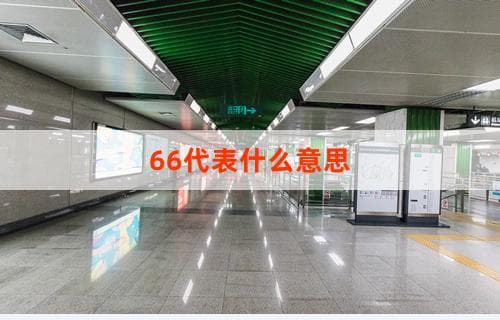 66代表什么意思：探究数字的文化内涵与日常用法