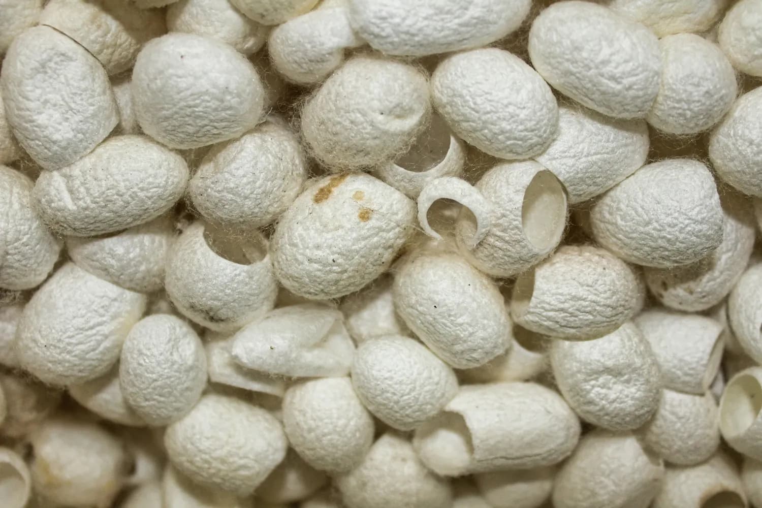 如何确保瓜蒌薤白半夏汤药材安全？