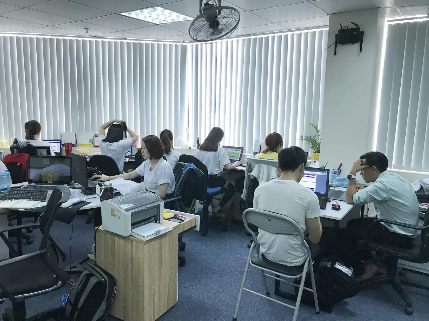 双十一财务大作战：出纳新手速成秘籍