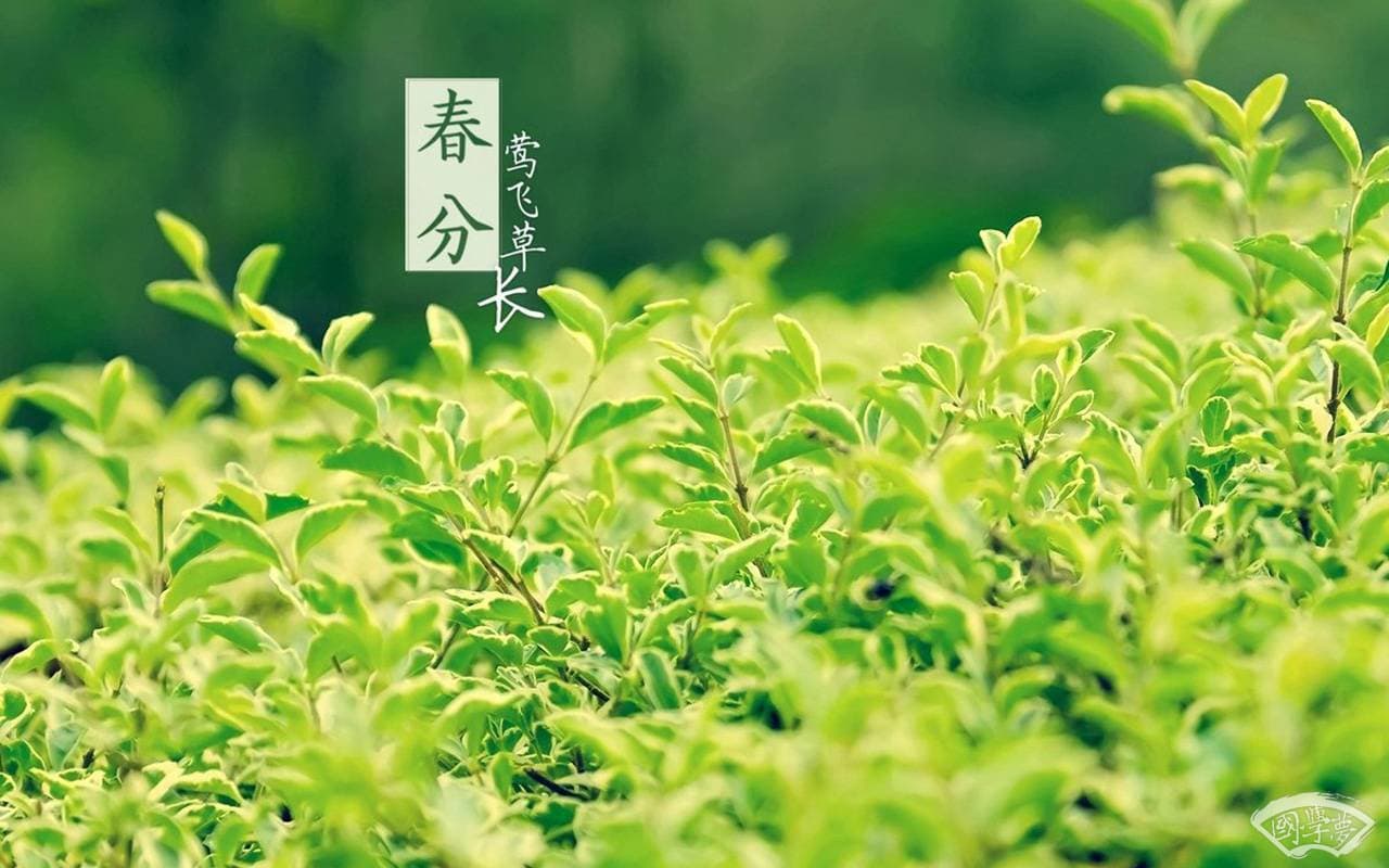 春分诗歌：九首诗词里的春分之美
