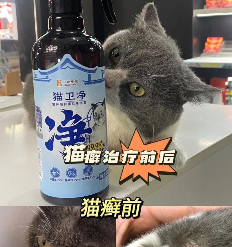 预防猫藓的药物选择（保护宠物健康，合理用药）