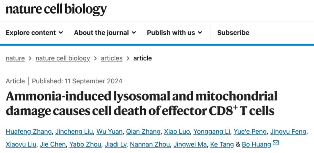 Nature Cell Biology：氨死亡——免疫T死亡新的方式