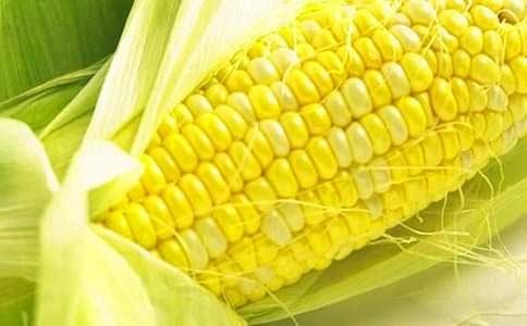 玉米的营养价值与食用功效