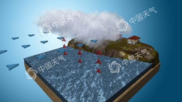 上海“降雪”真相：是霰和冰粒，三招可辨识