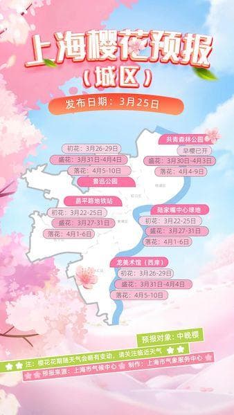 上海首份“赏樱攻略”来了！花开无声却述说着“气候密码”