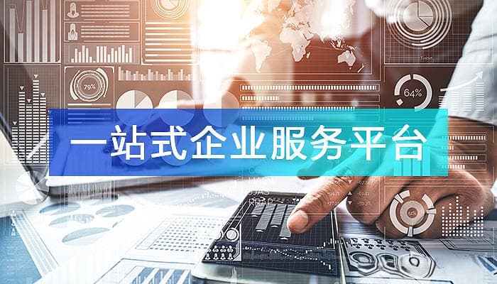“一站式企业服务平台”全景解析