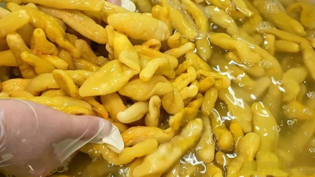 德庆美食：从黄瓜醡到竹篙粉，岭南特色小吃的魅力