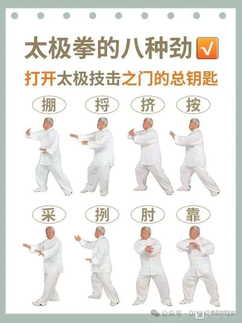 太极八法动作名称及动作要领和练习方法和功效