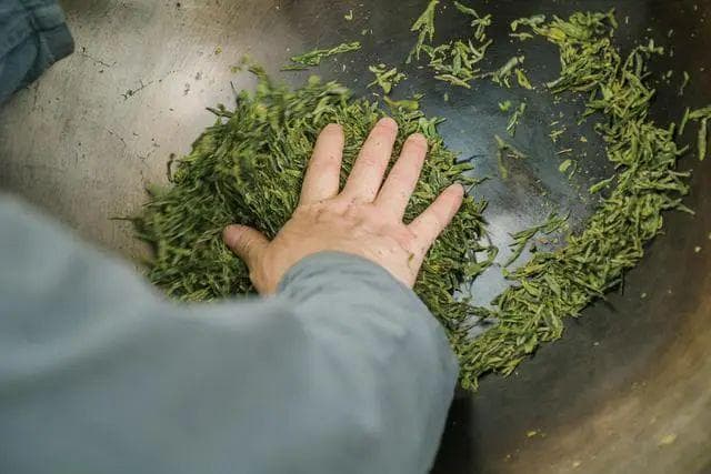 观茶家丨西湖边的这场传承，“炒”出了什么？
